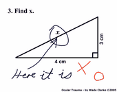 Subject on a math test... <br>Solve the
problem: find x on the triangle.
<br>Answer: see for yourself!!